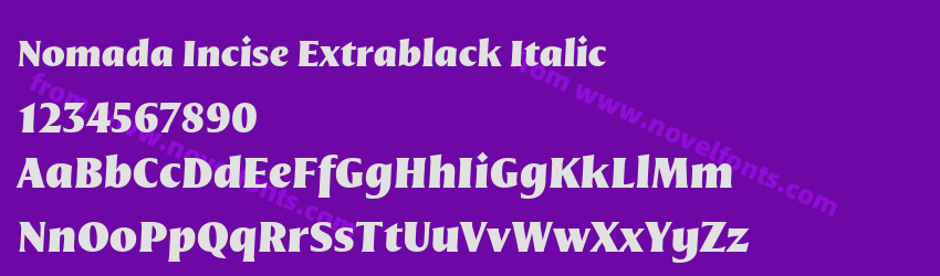 Nomada Incise Extrablack ItalicPreview Nomada Incise Extrablack ItalicPreview