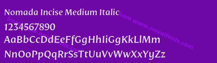 Nomada Incise Medium ItalicPreview Nomada Incise Medium ItalicPreview