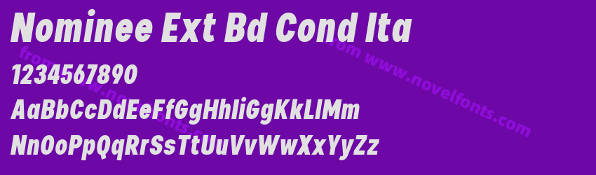 Nominee Ext Bd Cond ItaPreview Nominee Ext Bd Cond ItaPreview