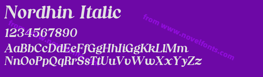 Nordhin ItalicPreview Nordhin ItalicPreview