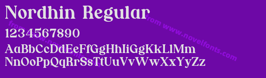 Nordhin RegularPreview Nordhin RegularPreview