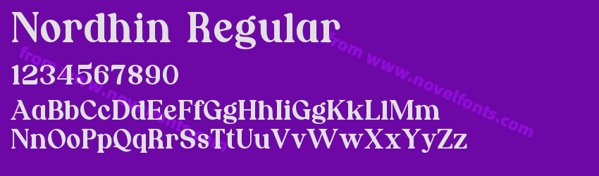 Nordhin RegularPreview Nordhin RegularPreview