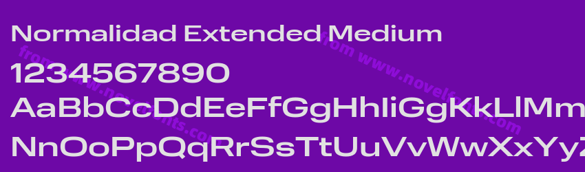 Normalidad Extended MediumPreview Normalidad Extended MediumPreview