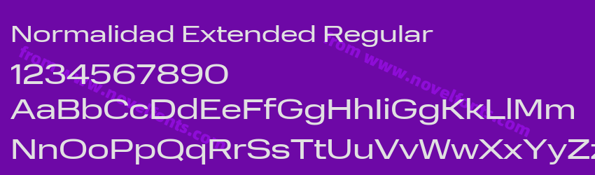 Normalidad Extended RegularPreview Normalidad Extended RegularPreview