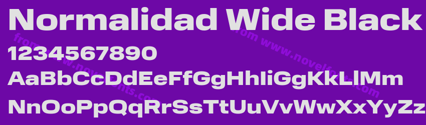 Normalidad Wide BlackPreview Normalidad Wide BlackPreview
