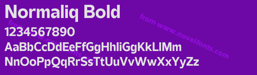 Normaliq BoldPreview Normaliq BoldPreview