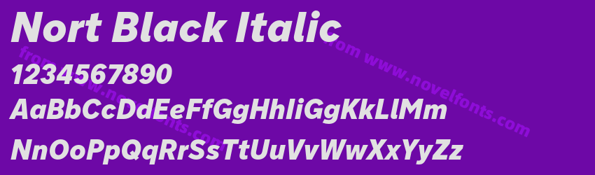 Nort Black ItalicPreview Nort Black ItalicPreview