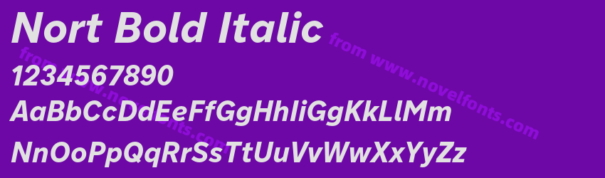 Nort Bold ItalicPreview Nort Bold ItalicPreview