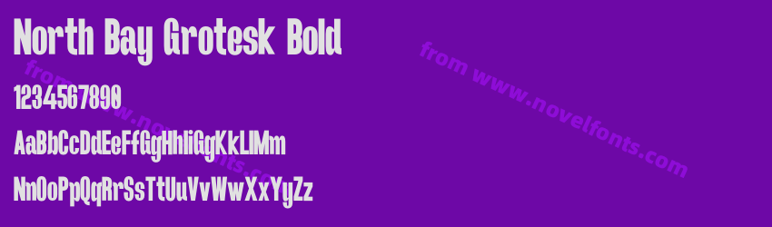 North Bay Grotesk BoldPreview North Bay Grotesk BoldPreview