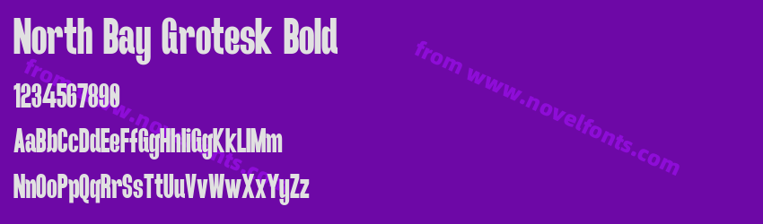 North Bay Grotesk BoldPreview North Bay Grotesk BoldPreview