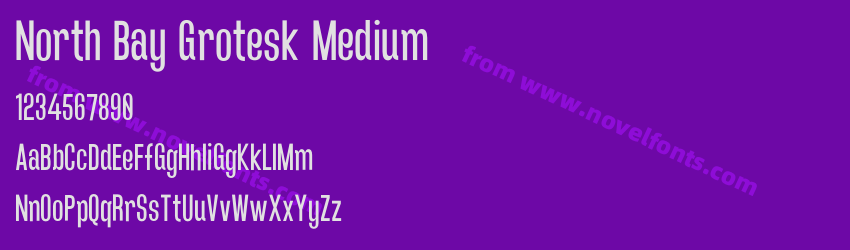 North Bay Grotesk MediumPreview North Bay Grotesk MediumPreview