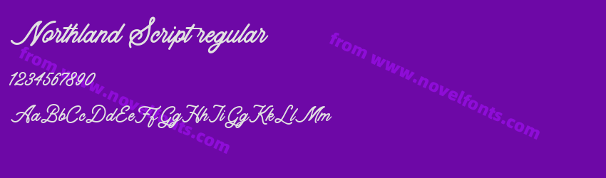 Northland Script regularPreview Northland Script regularPreview