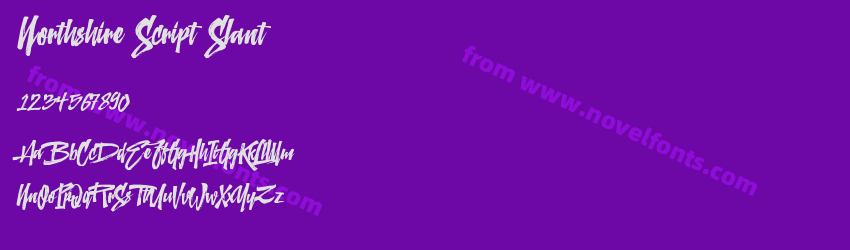 Northshire Script SlantPreview Northshire Script SlantPreview