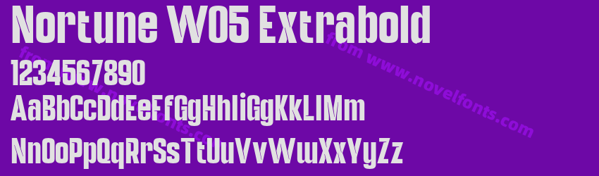 Nortune W05 ExtraboldPreview Nortune W05 ExtraboldPreview