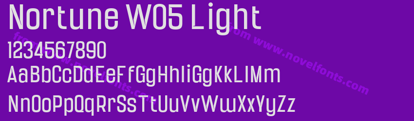 Nortune W05 LightPreview Nortune W05 LightPreview