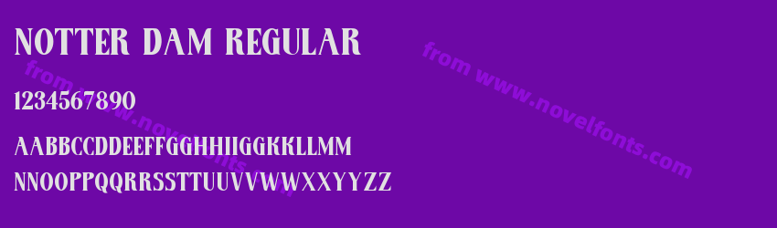 Notter Dam RegularPreview Notter Dam RegularPreview