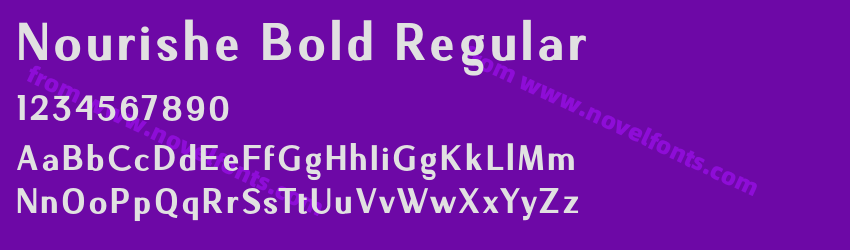 Nourishe Bold RegularPreview Nourishe Bold RegularPreview