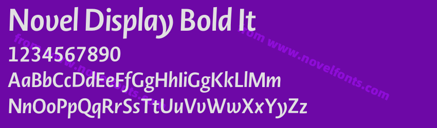 Novel Display Bold ItPreview Novel Display Bold ItPreview