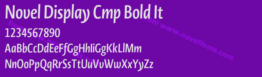 Novel Display Cmp Bold ItPreview Novel Display Cmp Bold ItPreview