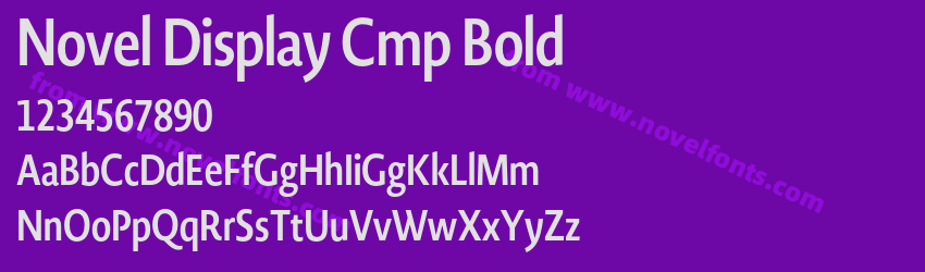 Novel Display Cmp BoldPreview Novel Display Cmp BoldPreview
