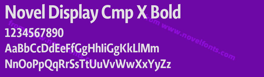 Novel Display Cmp X BoldPreview Novel Display Cmp X BoldPreview