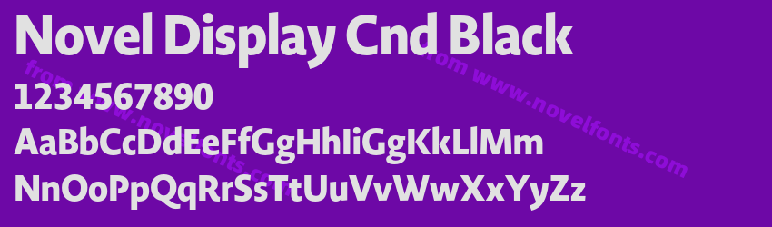 Novel Display Cnd BlackPreview Novel Display Cnd BlackPreview