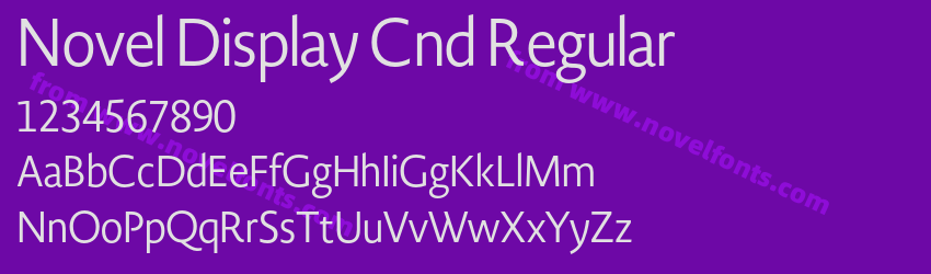 Novel Display Cnd RegularPreview Novel Display Cnd RegularPreview