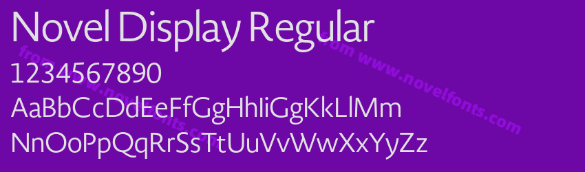 Novel Display RegularPreview Novel Display RegularPreview
