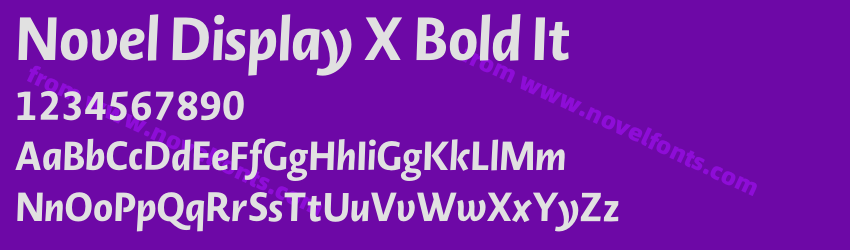 Novel Display X Bold ItPreview Novel Display X Bold ItPreview