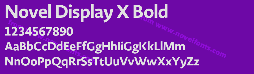 Novel Display X BoldPreview Novel Display X BoldPreview