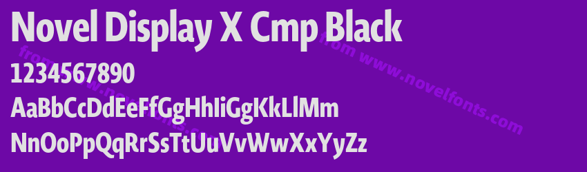 Novel Display X Cmp BlackPreview Novel Display X Cmp BlackPreview