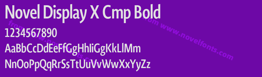 Novel Display X Cmp BoldPreview Novel Display X Cmp BoldPreview