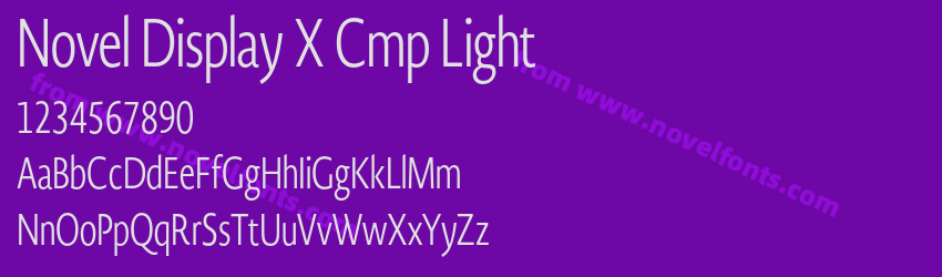 Novel Display X Cmp LightPreview Novel Display X Cmp LightPreview