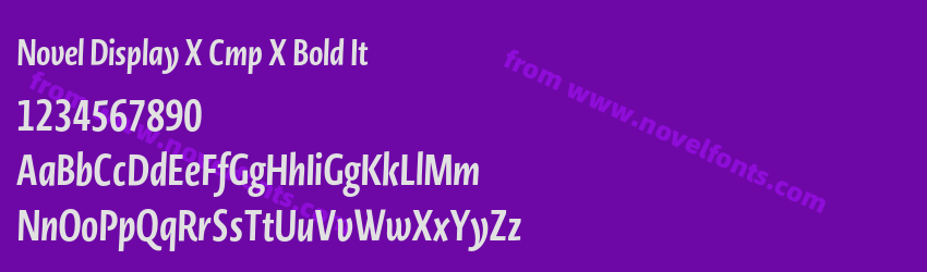Novel Display X Cmp X Bold ItPreview Novel Display X Cmp X Bold ItPreview