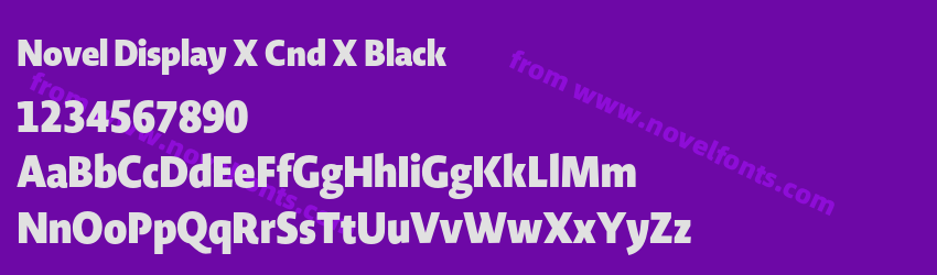 Novel Display X Cnd X BlackPreview Novel Display X Cnd X BlackPreview
