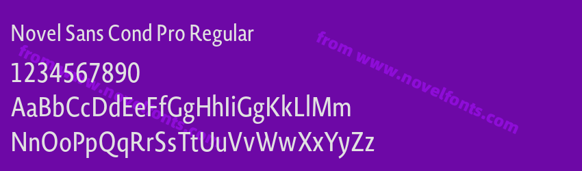 Novel Sans Cond Pro RegularPreview Novel Sans Cond Pro RegularPreview