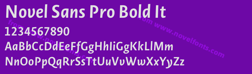 Novel Sans Pro Bold ItPreview Novel Sans Pro Bold ItPreview