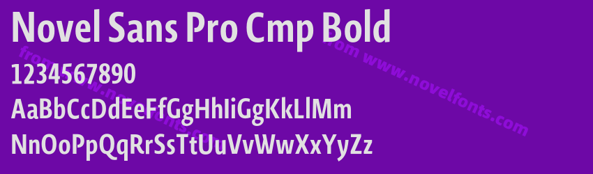 Novel Sans Pro Cmp BoldPreview Novel Sans Pro Cmp BoldPreview