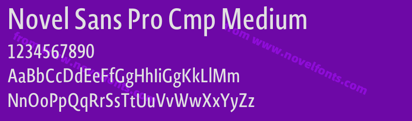 Novel Sans Pro Cmp MediumPreview Novel Sans Pro Cmp MediumPreview