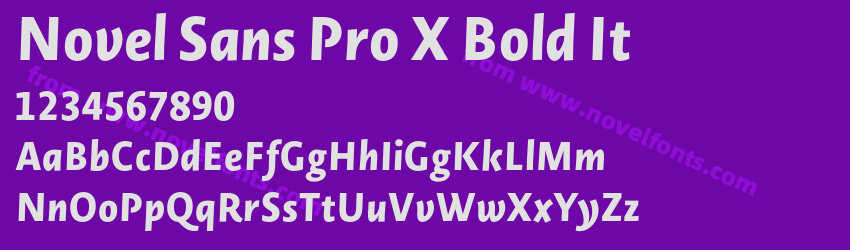 Novel Sans Pro X Bold ItPreview Novel Sans Pro X Bold ItPreview