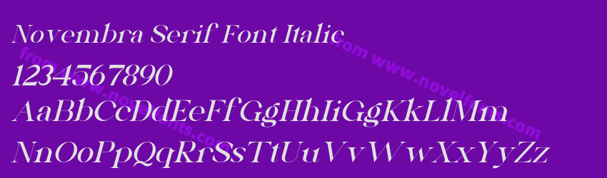 Novembra Serif Font ItalicPreview Novembra Serif Font ItalicPreview