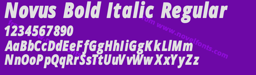 Novus Bold Italic RegularPreview Novus Bold Italic RegularPreview