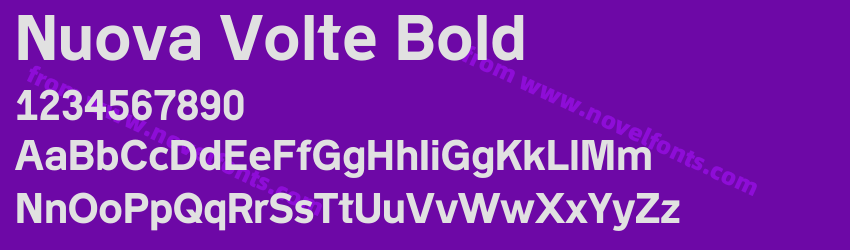 Nuova Volte BoldPreview Nuova Volte BoldPreview