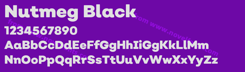Nutmeg BlackPreview Nutmeg BlackPreview