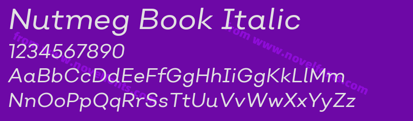 Nutmeg Book ItalicPreview Nutmeg Book ItalicPreview