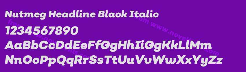 Nutmeg Headline Black ItalicPreview Nutmeg Headline Black ItalicPreview