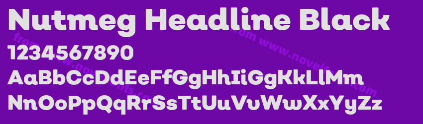 Nutmeg Headline BlackPreview Nutmeg Headline BlackPreview