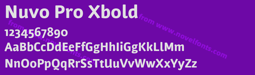 Nuvo Pro XboldPreview Nuvo Pro XboldPreview