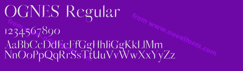 OGNES RegularPreview OGNES RegularPreview