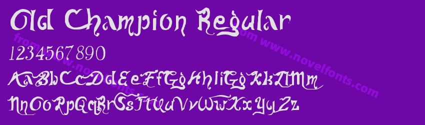 Old Champion RegularPreview Old Champion RegularPreview
